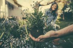 A person holding a plant